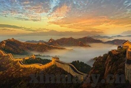 大象传媒污-象牙之谜，大象与传媒的交织画卷