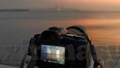 麻豆91免费看片-Mild Pleasures in the Digital Age: A Glimpse into a Unique Online Experience