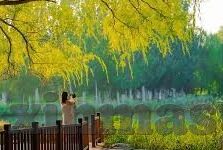 麻豆app电脑版下载-潮流娱乐新风向，尽在麻豆——探索电脑版带来的非凡体验