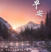 日韩av毛片在线观看-日韩AV影片的合法与道德考量