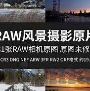 日韩三级成人av网-日韩文化与成人内容平台的界限探讨