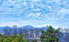 糖心app免费观看网站-甜蜜视界，深入了解糖心APP免费观看体验