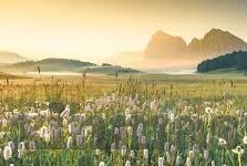 糖心视频app下载安装软件-谨慎对待网络视频APP的全面指南